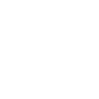 CaptainFidel's emblem