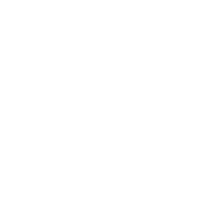 Li0n3l_Hutz's emblem