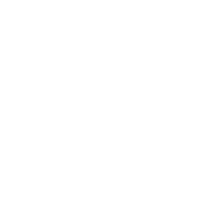 nbraeden's emblem