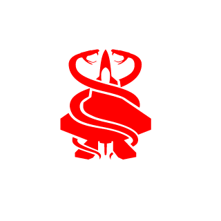 MegaVout's emblem