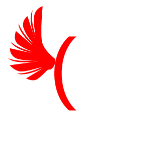 1462701594's emblem