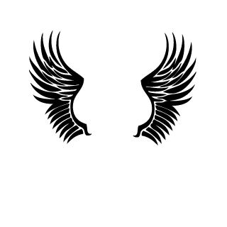 Darklight1753's emblem