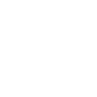 SkyfallHuN's emblem
