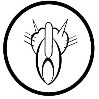 v4096's emblem