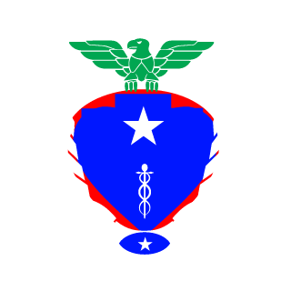 P1P3_N41M's emblem