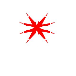 Blk-Skull-Optics's emblem