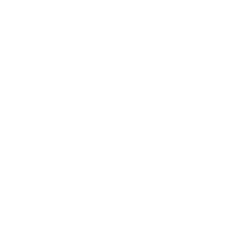 Ric48's emblem
