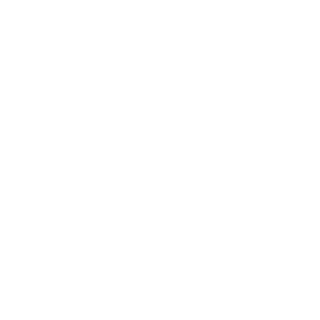 NTOVirus's emblem