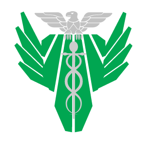 1-KPEMEHb-1's emblem