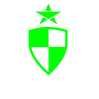 Kak_300's emblem