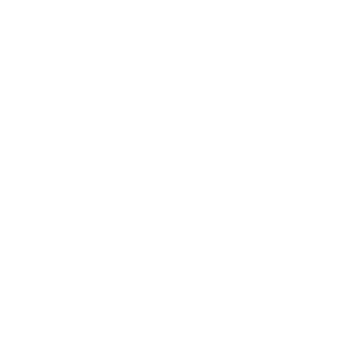 Lvunch's emblem