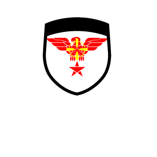BRFalconGamerYT's emblem