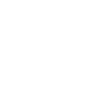 -N4-MashiMaro's emblem
