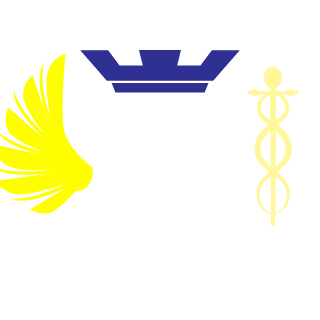 maskbollen's emblem