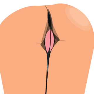1_mec_supersympa's emblem