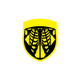 6fb620e220c37e62's emblem