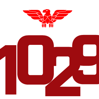 Phoenix1029's emblem