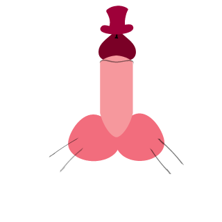 batypypsik's emblem
