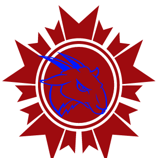 Kiber019's emblem
