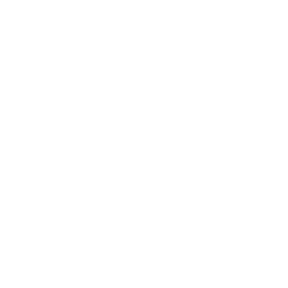 Whitepuzzler's emblem