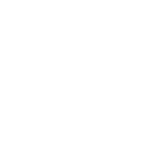 MagicMissleSong's emblem