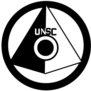 USAF Valkyrie's emblem