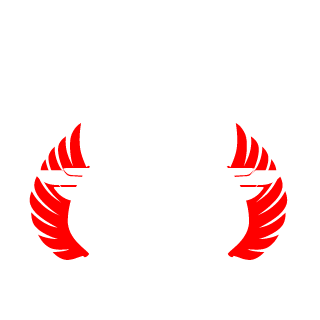 Collector_Minds's emblem