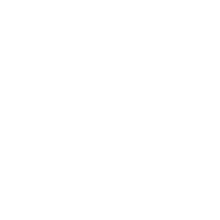 TheChizzaberry81's emblem