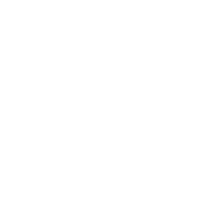 AndreySilvestre's emblem