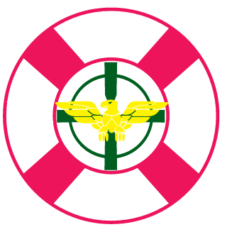 PANDA4DTS's emblem