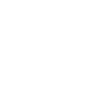 nsrkid's emblem
