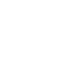DualcoreDesigns's emblem