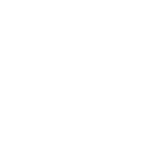 Shenangn_mouse's emblem