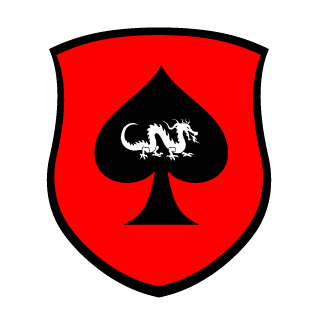 McArturPL's emblem