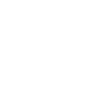Bundangpilot's emblem
