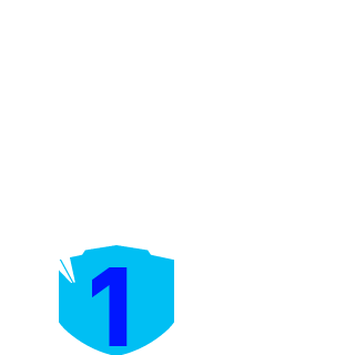 CAPTIANEGYPT78's emblem