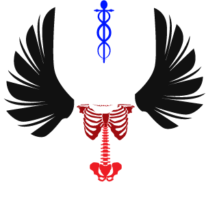 FalconKGB's emblem