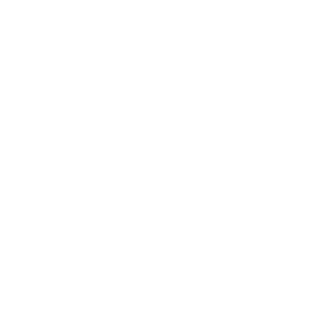 V1zzeon's emblem
