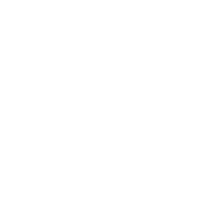 B0poH's emblem