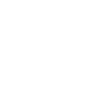 sweRPINN's emblem