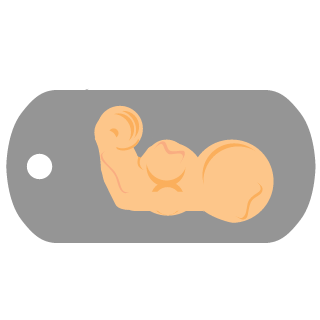 UrMomDoes4nal's emblem