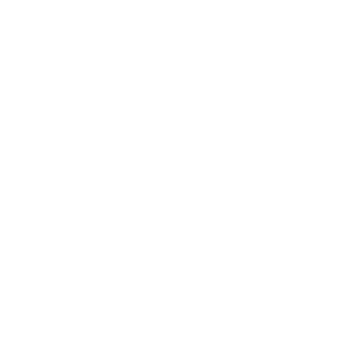 Enforer's emblem