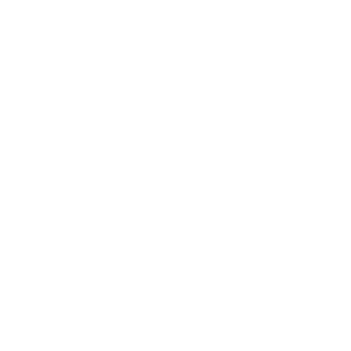 dns013's emblem