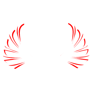 lndygoSky's emblem
