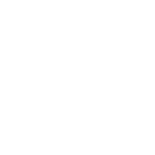 flynitoo's emblem