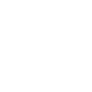 DomaN8's emblem