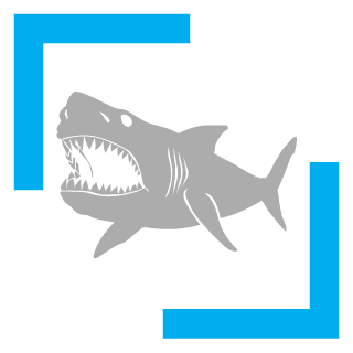 bigcatlol's emblem