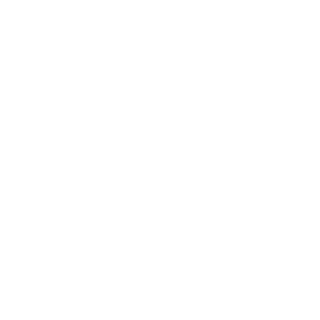 Subsized's emblem