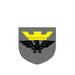 WzDaBaguncinha's emblem