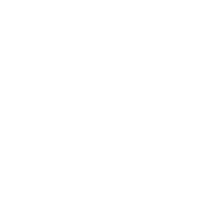 ShubhGamerzYT's emblem